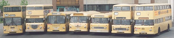 OldieBus-Martin.de