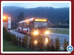 88 (117)