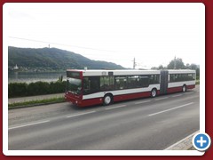 88 (1521)