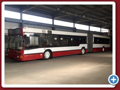 88 (2261)