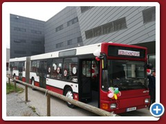 88 (2313)