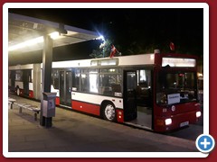 88 (251)