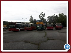 88 (455)