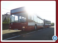 88 (675)