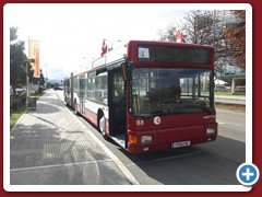 88 (856)