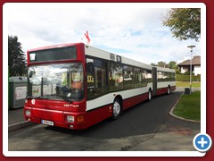 88 (874)