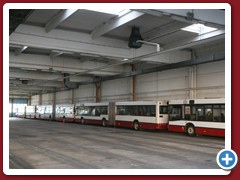 88 (981)