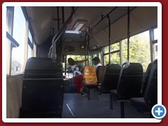 8 (250)