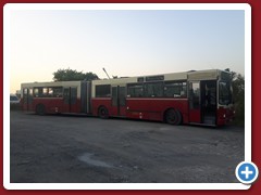 8 (268)