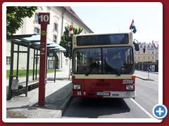 8 (313)