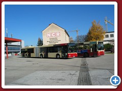 8 (36)