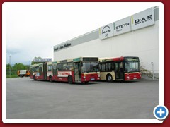 8 (401)