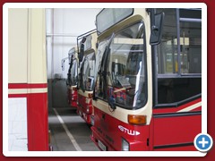 8 (99)